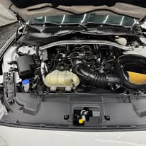 Cleaned and dressed engine bay after detailing
